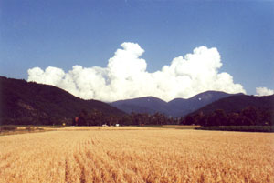 Blick nach Staufen im Herbst