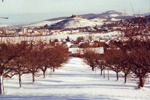 Blick nach Staufen im Winter